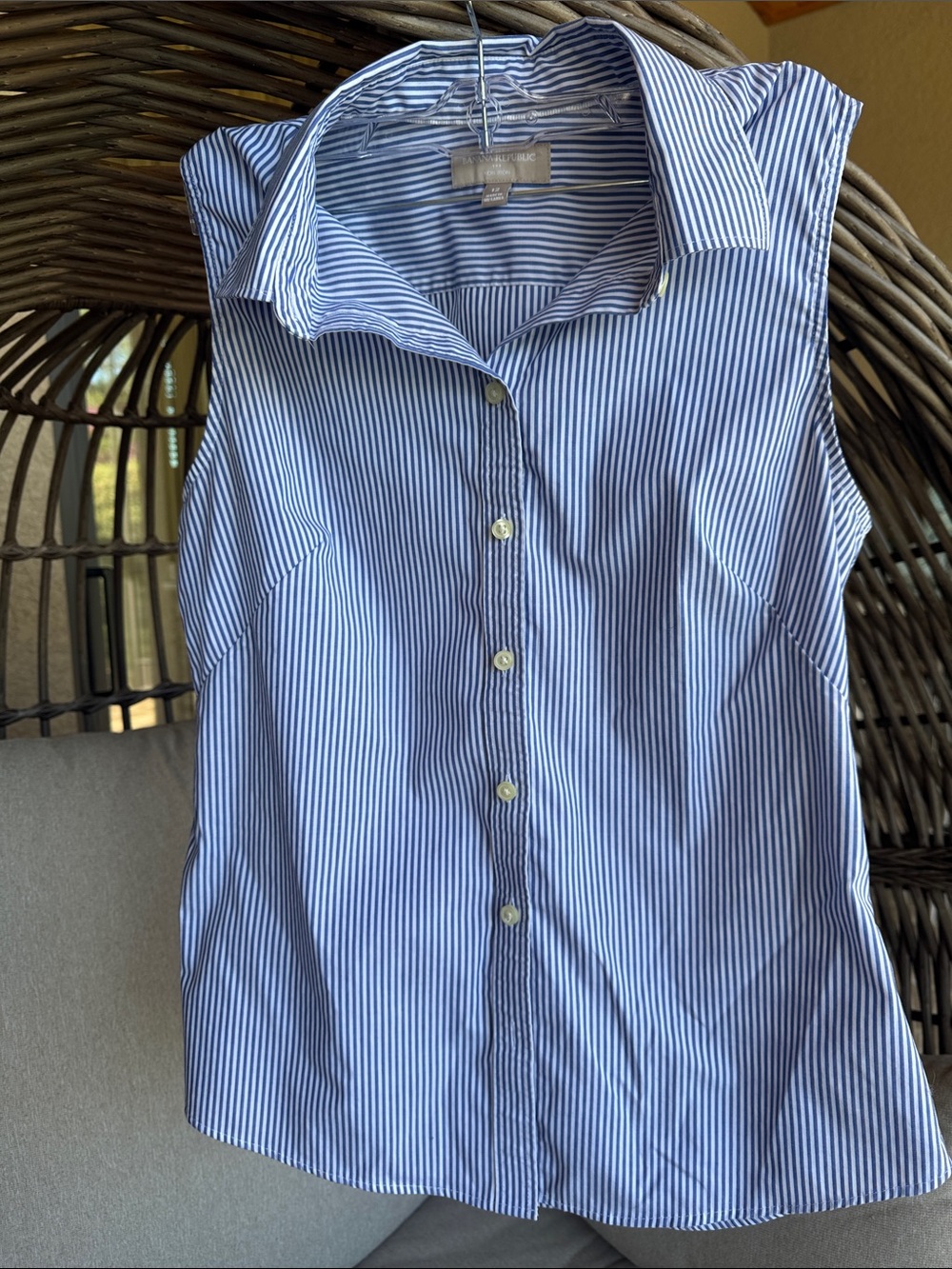 Banana Republic Blue and White Striped Sleeveless Button-Down Shirt